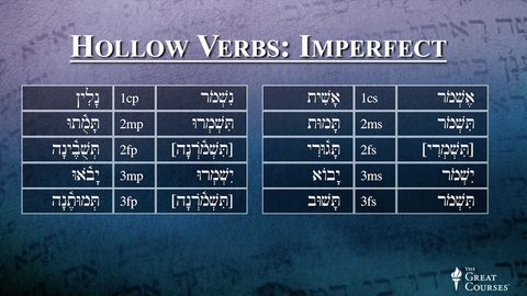 Hebrew's Hollow Verbs cover image cdn