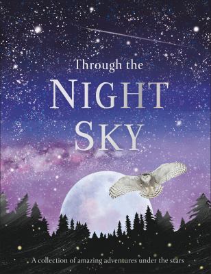 Through the night sky cover image