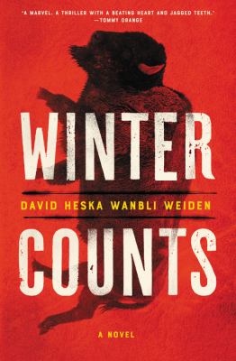 Winter counts cover image