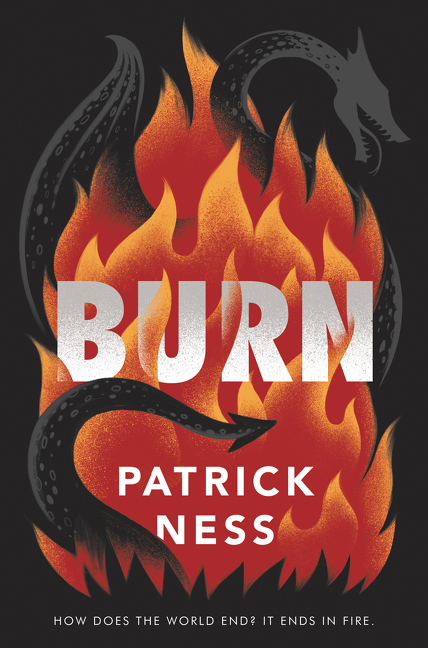 Burn cover image cdn