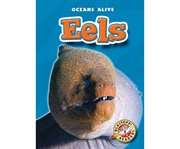 Eels cover image cdn