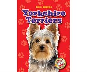 Yorkshire terriers cover image cdn