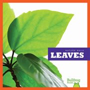 Leaves cover image cdn