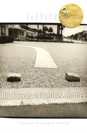 The theory of light and matter cover image cdn