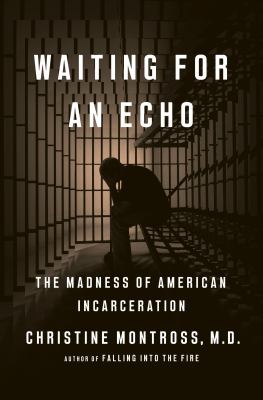 Waiting for an echo : the madness of American incarceration cover image