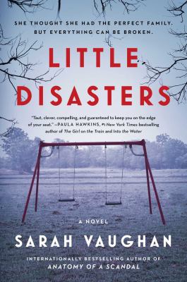 Little disasters cover image