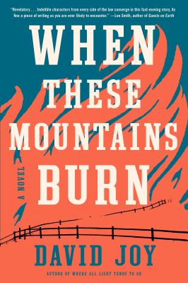 When these mountains burn cover image