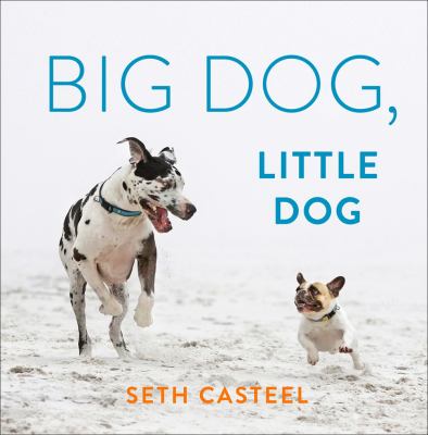 Big dog, little dog cover image