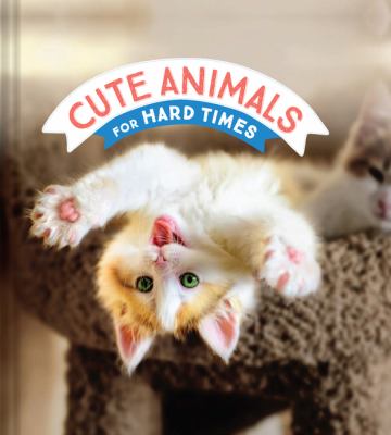 Cute animals for hard times cover image
