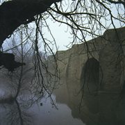 The mirror test cover image cdn