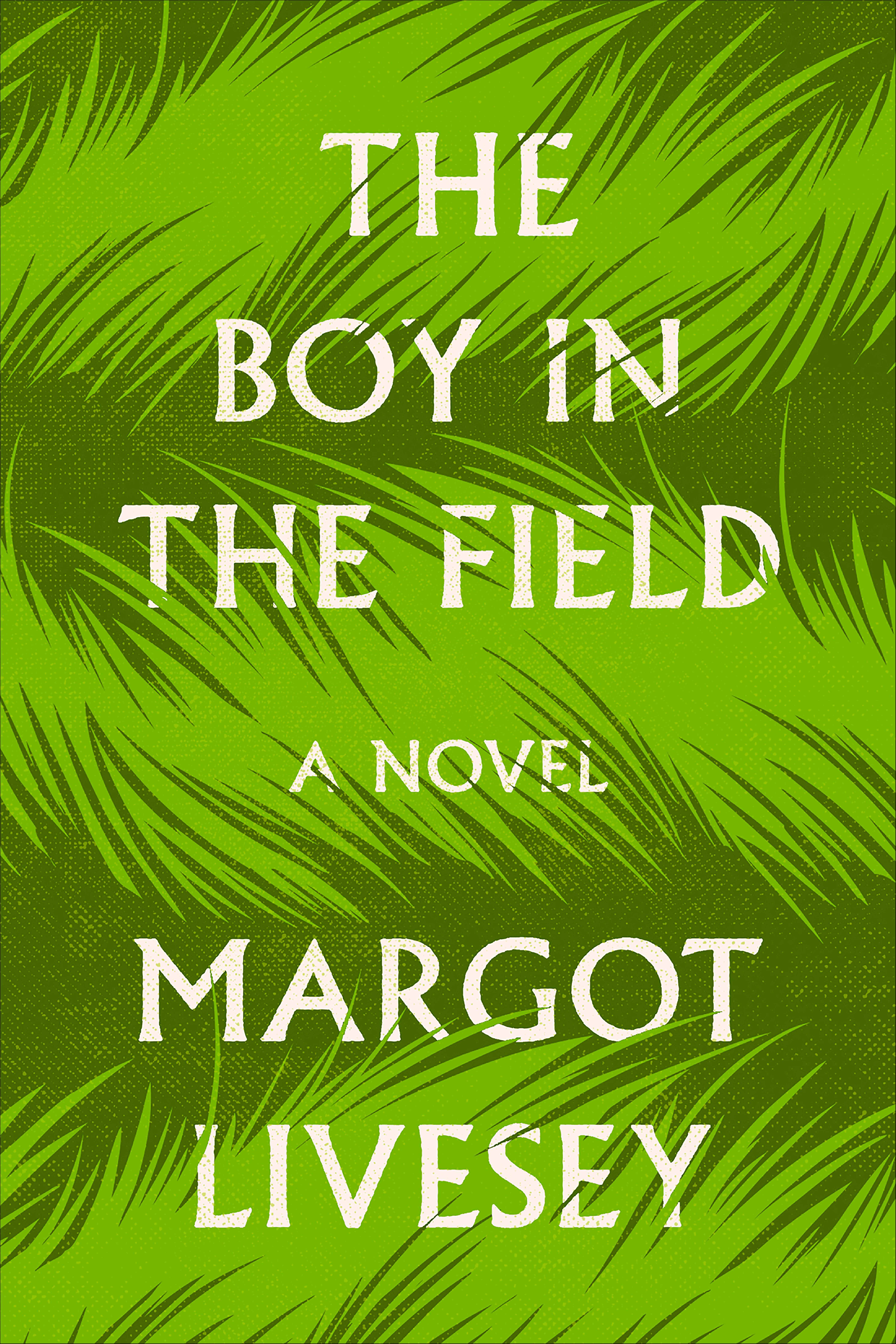 The boy in the field cover image cdn