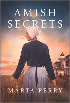 Amish secrets cover image