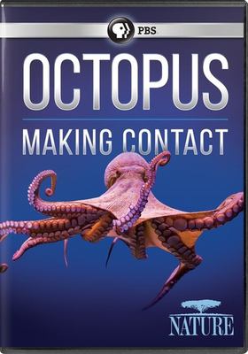 Octopus making contact cover image