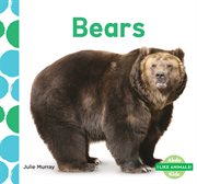 Bears cover image cdn