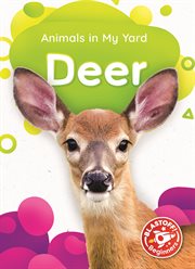 Deer cover image cdn