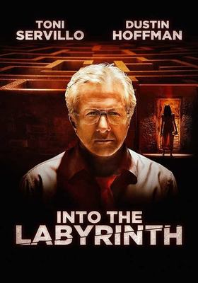 Into the labyrinth cover image cdn