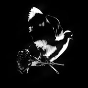 Enjoy yourself cover image cdn