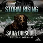 Storm rising cover image cdn