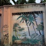 We, the survivors cover image cdn