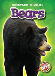 Bears cover image cdn