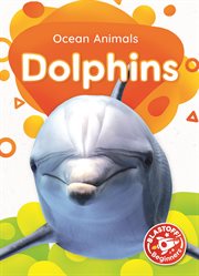 Dolphins cover image cdn