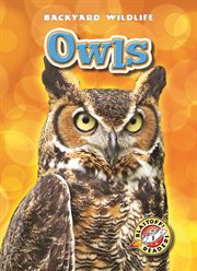 Owls cover image cdn