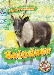 Reindeer cover image cdn