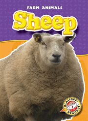 Sheep cover image cdn