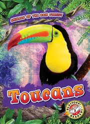 Toucans cover image cdn