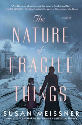 The nature of fragile things cover image