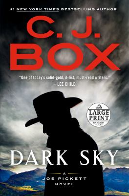 Dark sky a Joe Pickett novel cover image