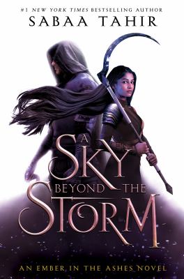 A sky beyond the storm cover image