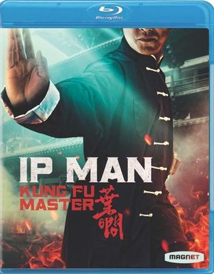 Ip Man. Kung fu master cover image