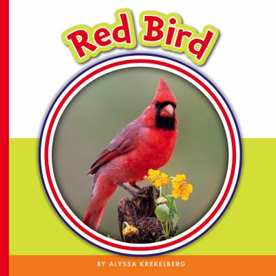 Red bird  cover image cdn