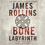 The bone labyrinth cover image cdn