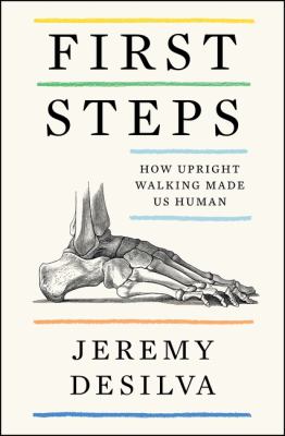 First steps : how upright walking made us human cover image