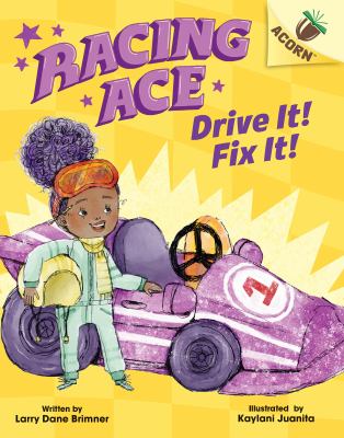 Drive it! Fix it! cover image