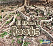 All about roots cover image cdn