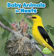 Baby animals in nests cover image cdn