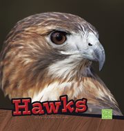 Hawks cover image cdn
