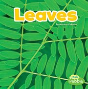 Leaves cover image cdn