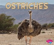 Ostriches cover image cdn