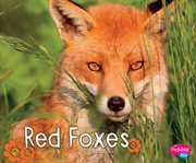 Red foxes cover image cdn