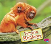 Tamarin monkeys cover image cdn