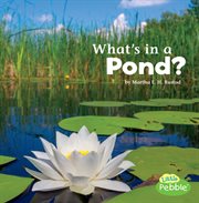 What's in a pond? cover image cdn