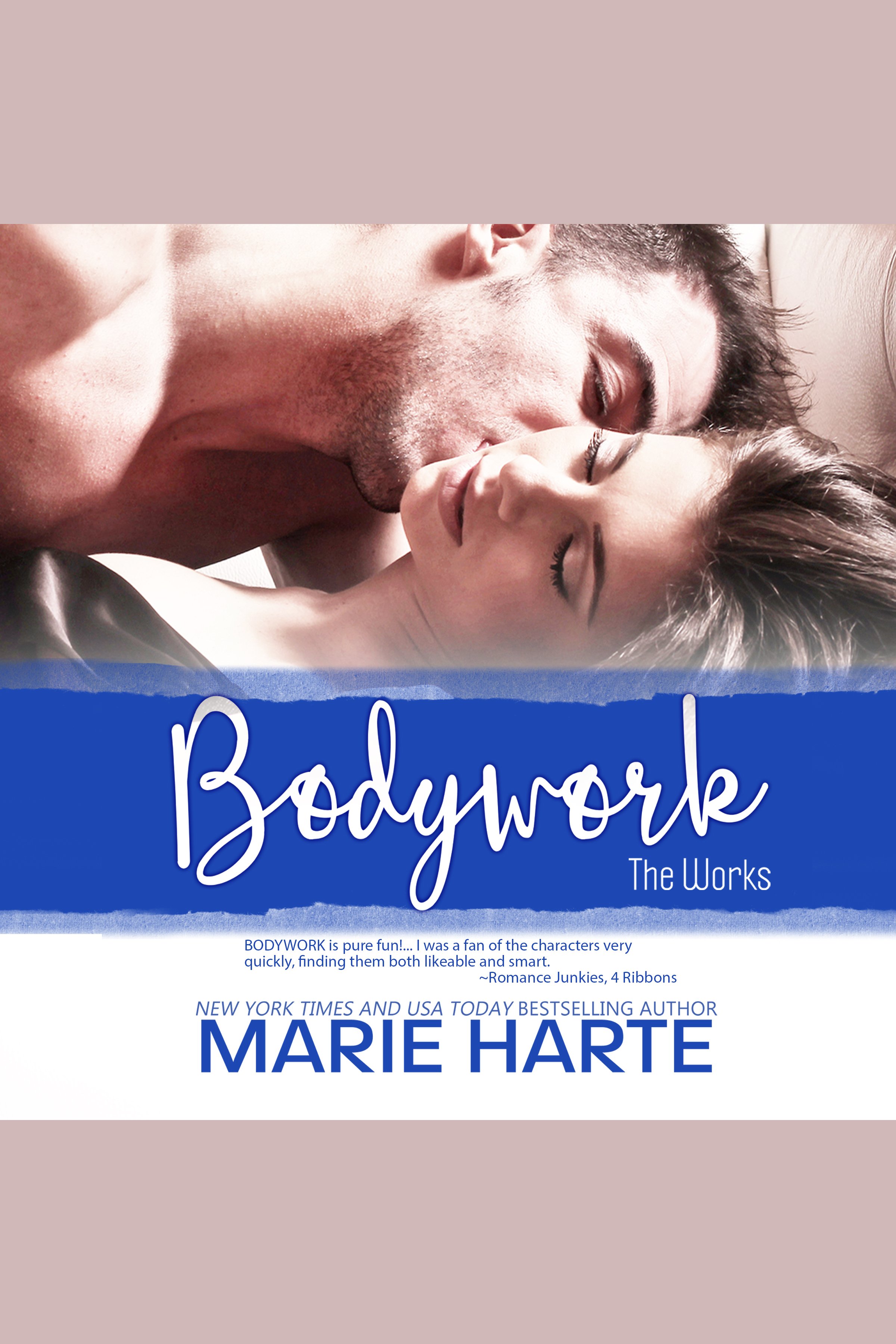 Bodywork cover image cdn