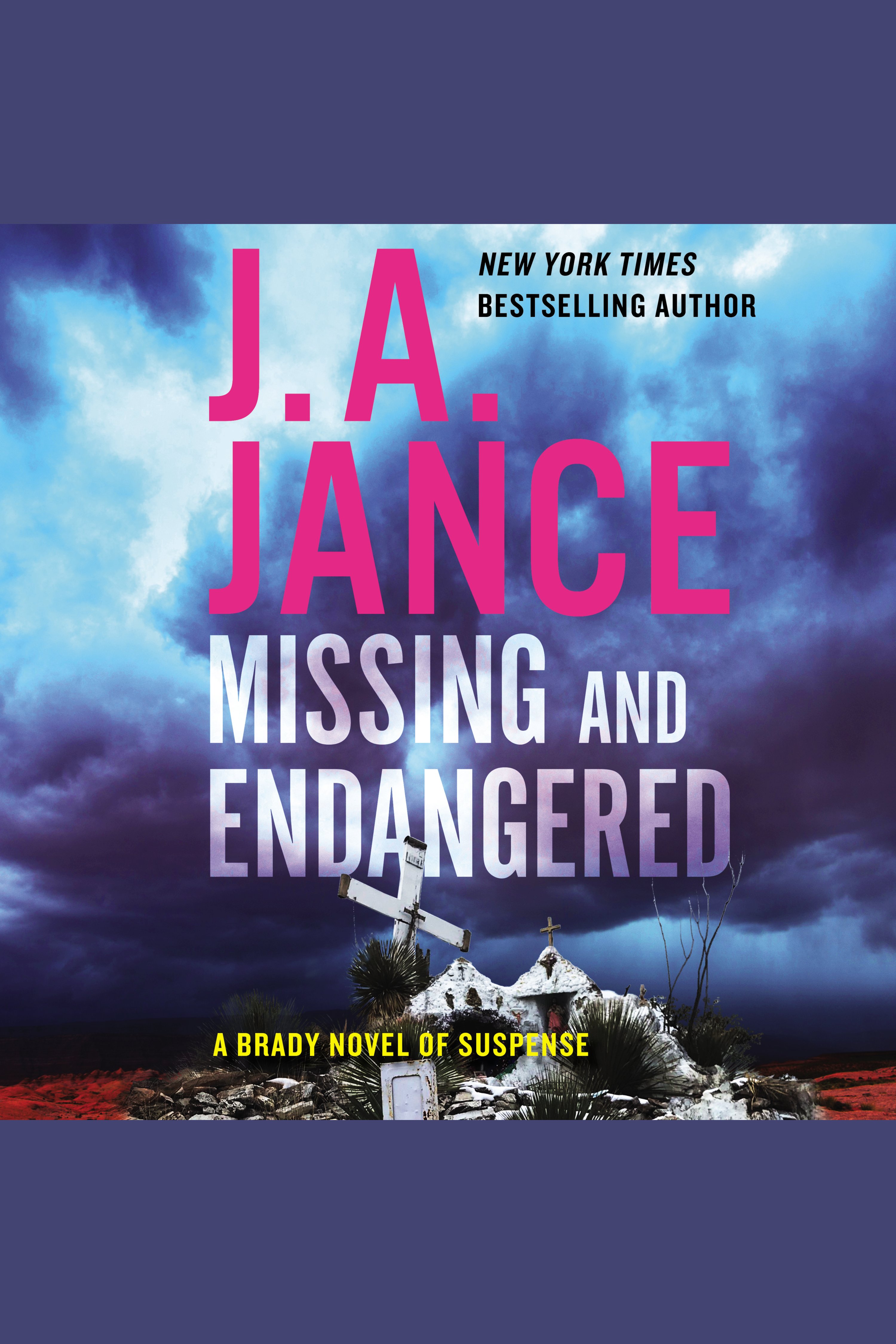 Missing and Endangered A Brady Novel of Suspense cover image cdn