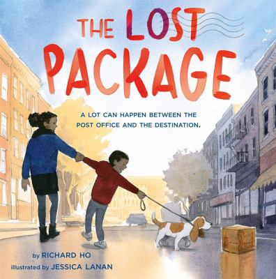 The lost package  cover image cdn