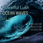 Powerful lush ocean waves. For Relaxation, Deep Sleep, Yoga, Meditation, Productivity, Exploration cover image cdn