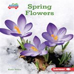 Spring flowers cover image cdn